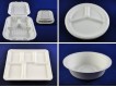 1). 100% Compostable Paper Pulp / Bagasse Container / Tray / Plate