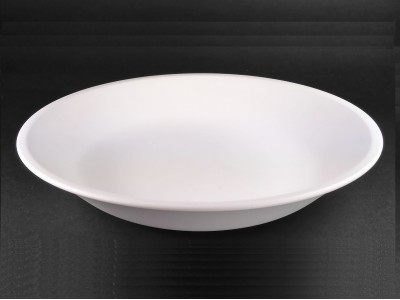 U-B05 Compostable/Biodegradable PLA Tableware